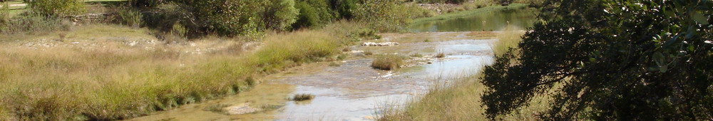 Spring Creek